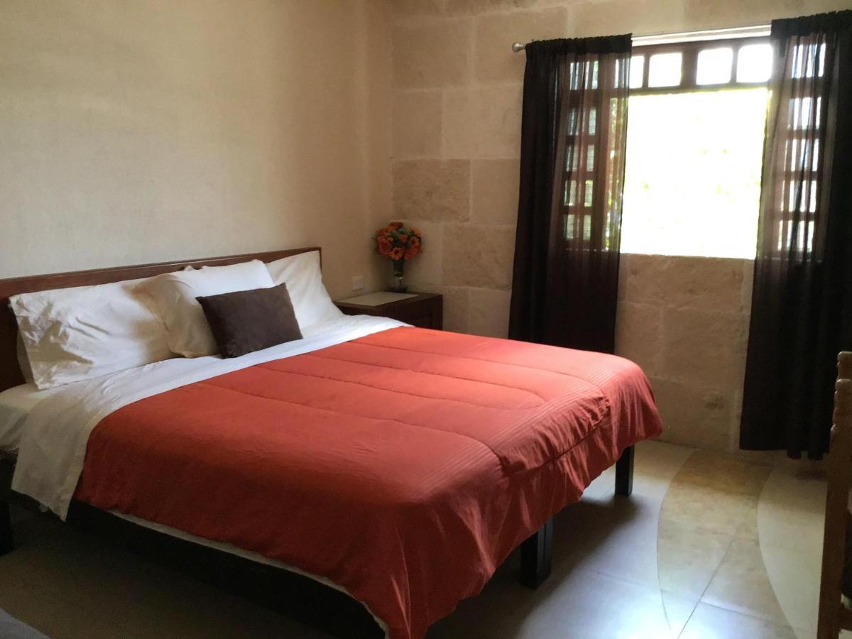 קנקון Bed And Breakfast Pecari מראה חיצוני תמונה